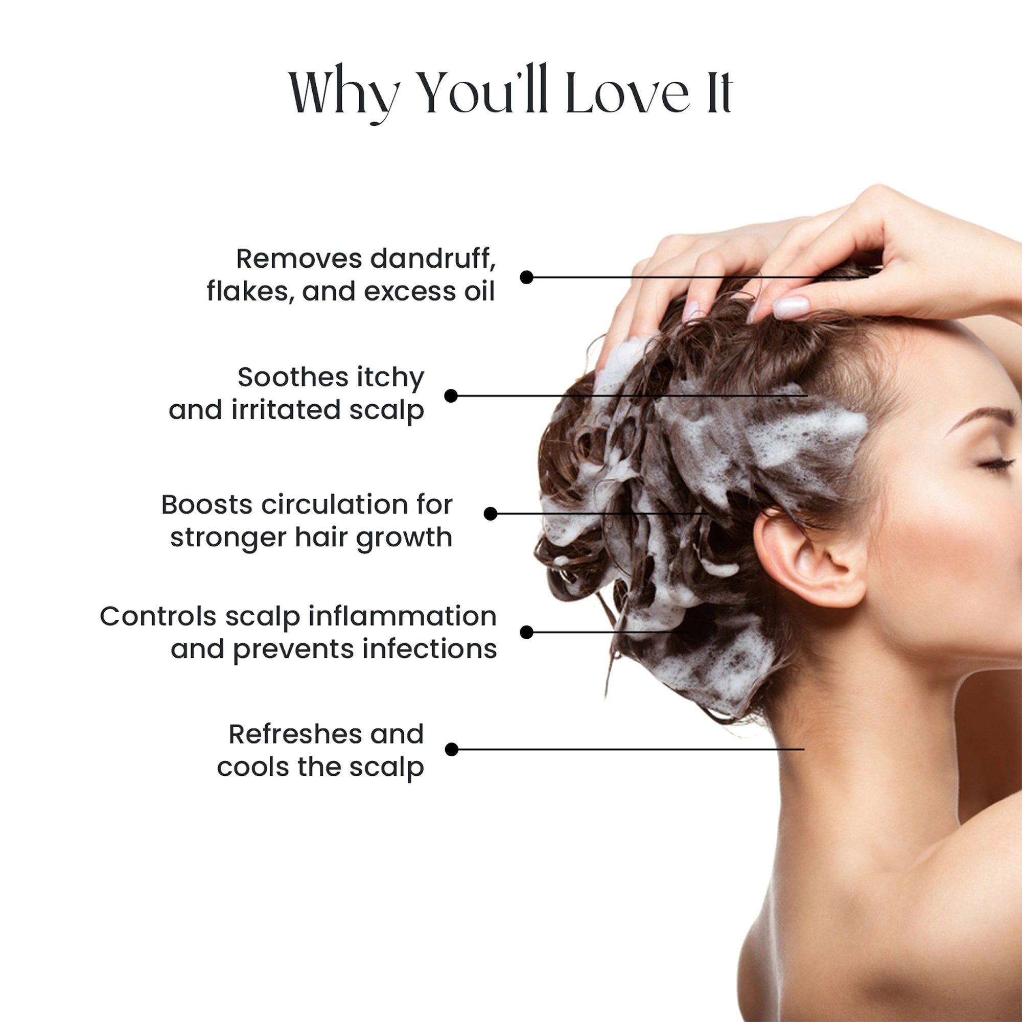 Zeshh Tea Tree Hair Shampoo