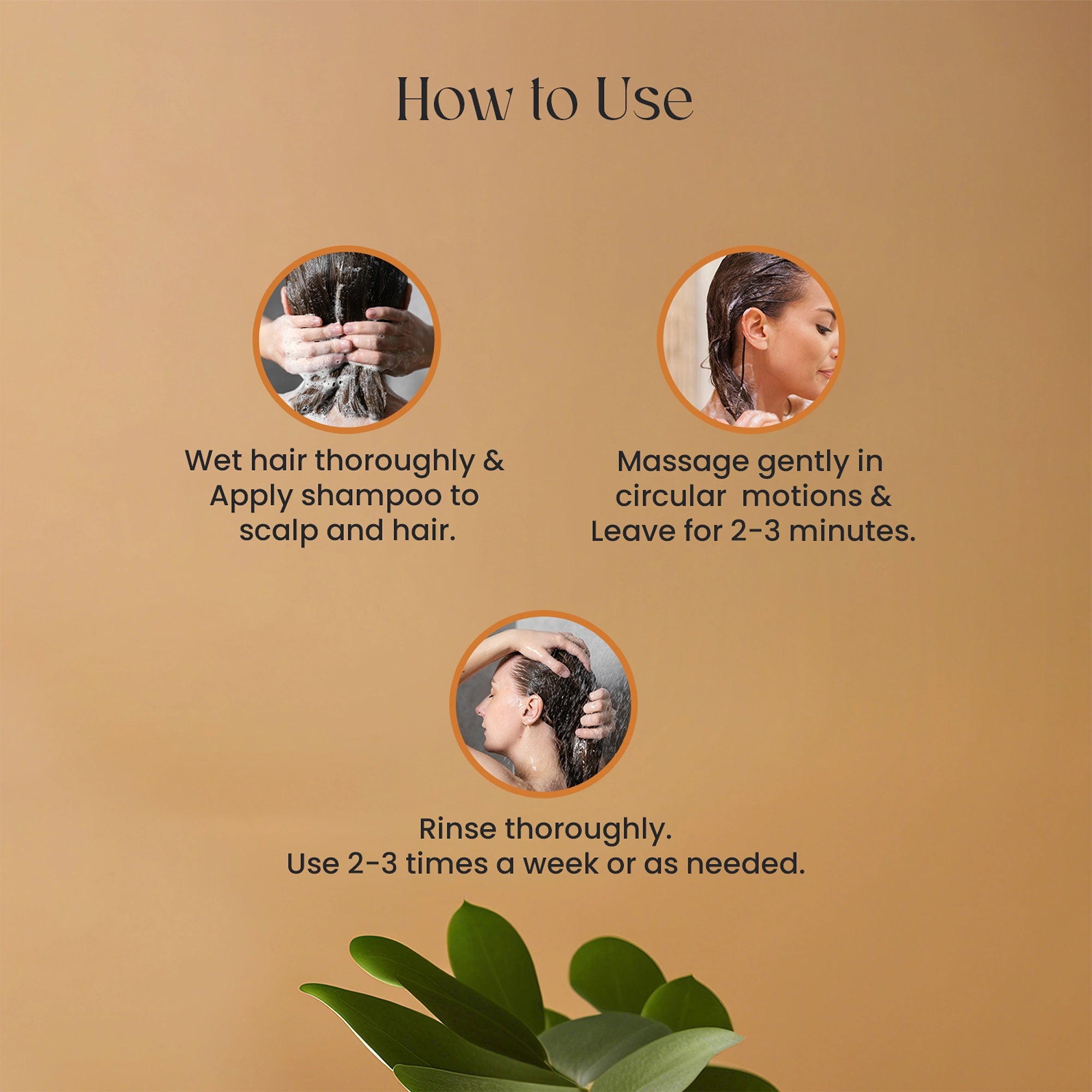 Zeshh Tea Tree Hair Shampoo